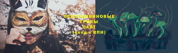 spice Магадан