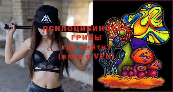spice Магадан