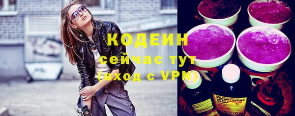 гидра Гусь-Хрустальный