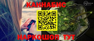 Альфа ПВП Гусев