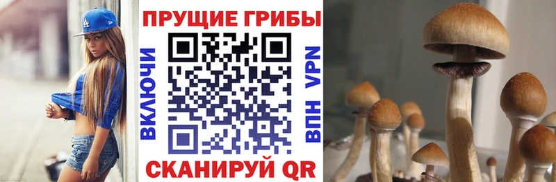 закладки дарк нет наркотические препараты Псилоцибиновые грибы ЛСД Вологда