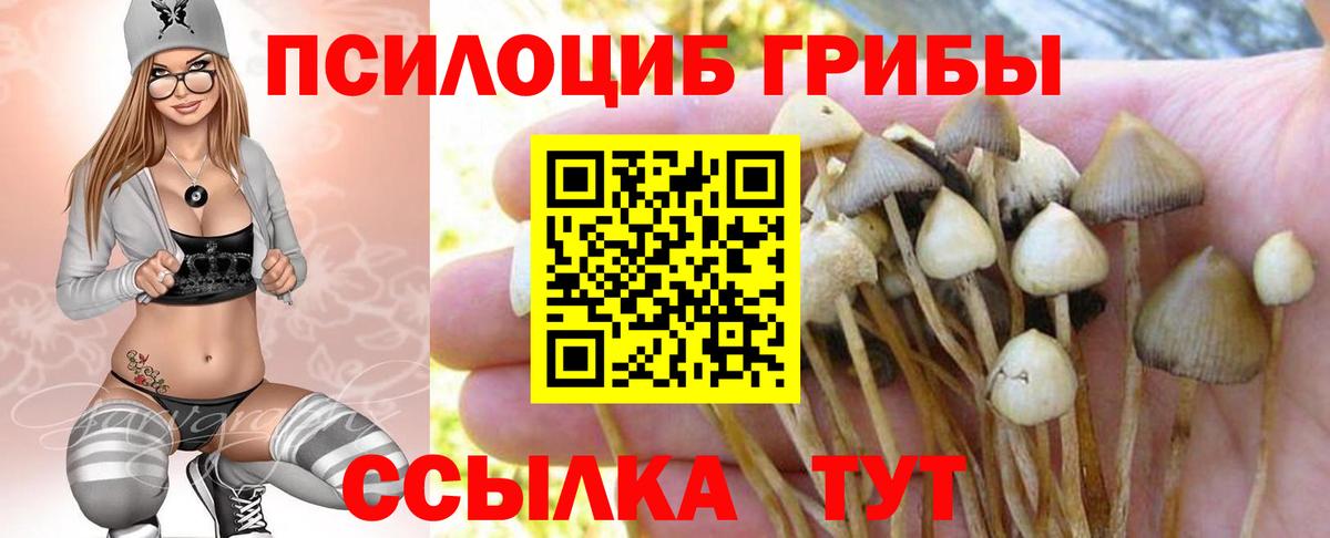 Галлюциногенные грибы MAGIC MUSHROOMS  Вход с VPN  Вологда 